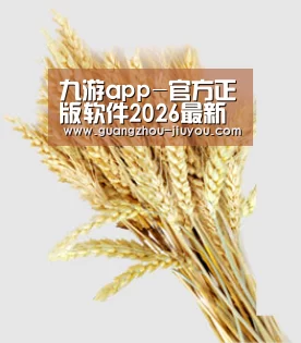 九游app-官方正版软件2026最新版本免费下载-应用宝官网