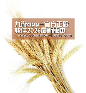 九游app-官方正版软件2026最新版本免费下载-应用宝官网
